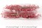 Set of 96 Red Holly Berry Christmas Stems, 17-Inch Decorative Picks for Wreaths, Garlands, and Holiday Centerpieces - 2024 Christmas Collection, Floral Home by Artificial Flowers